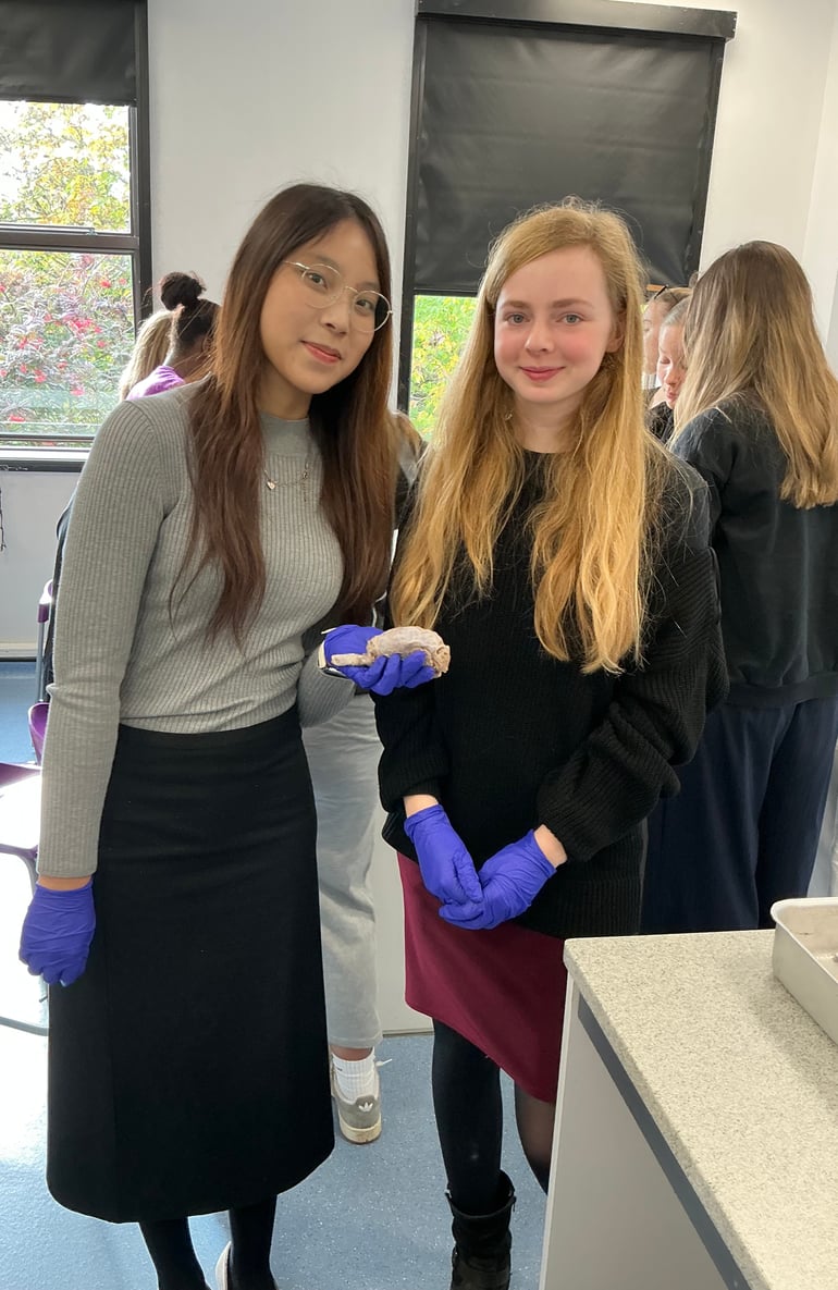 ‘Brain Day’ Inspires Future Scientists at Redmaids’ High