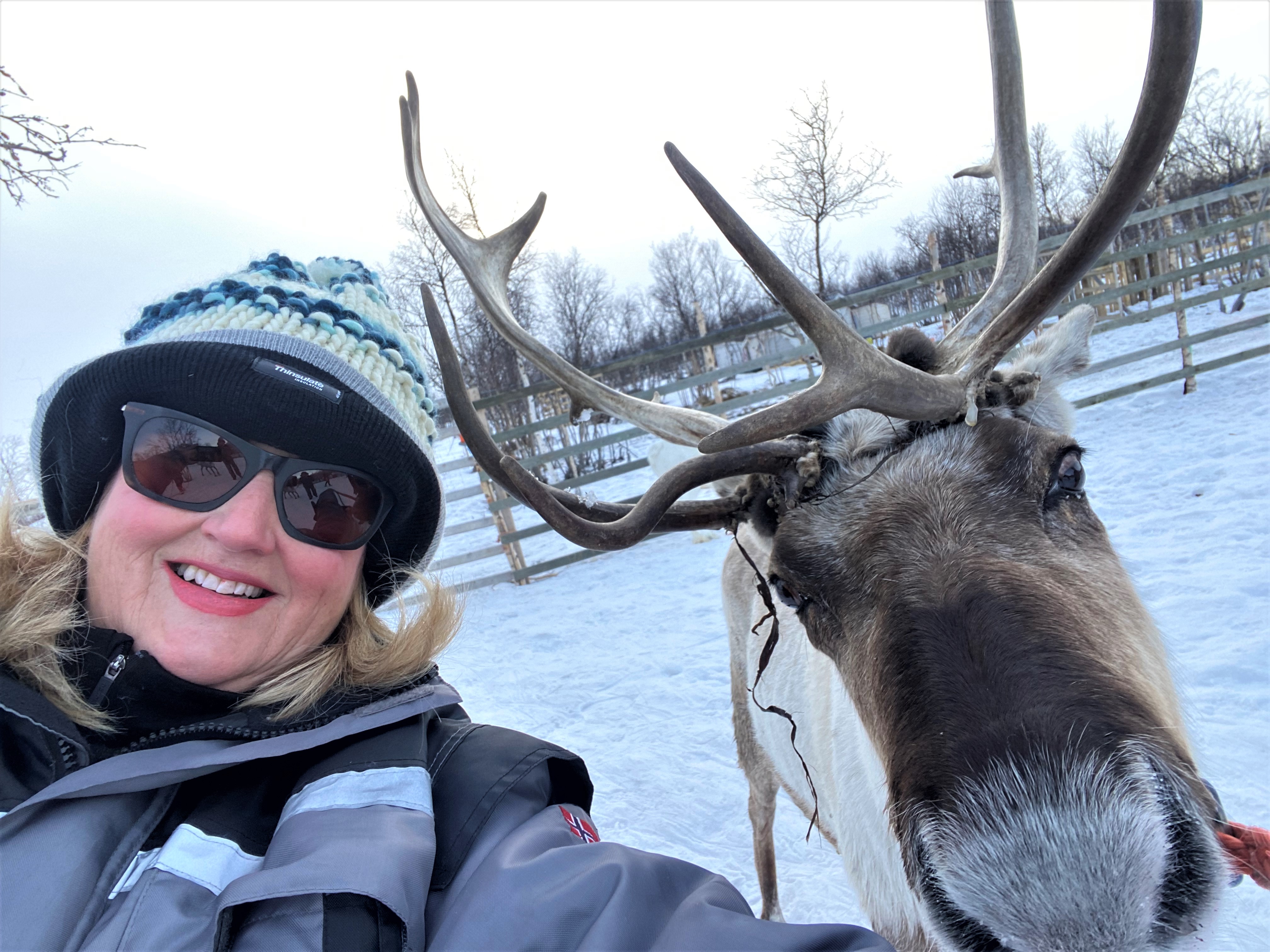 News from the Arctic Circle!